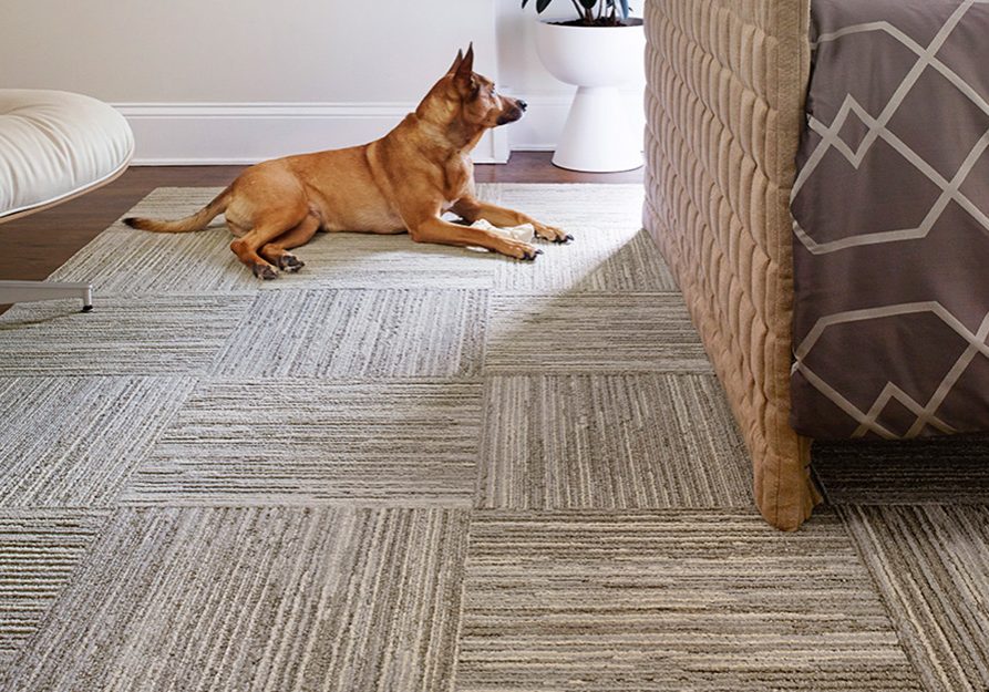 Carpet-tile-installation Carpet-tile-installation